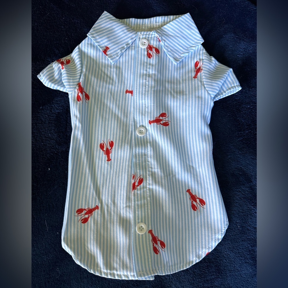 Brand new lobster collared dog shirt size S